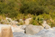 V3495855