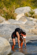 W3495133
