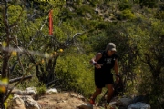 W3493369