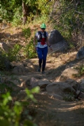 N3497559