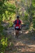 Q3497594
