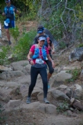 W3497266