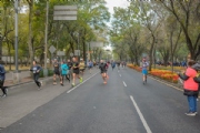 C3498554