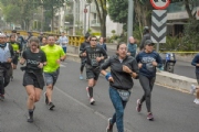 P3499555