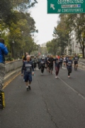 S3499557