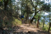 S3516219