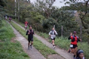 C3520590
