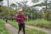 N3521293
