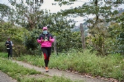 N3521336