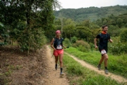 L3518591