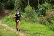 Q3516582