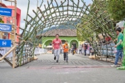 T3533921