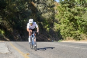 G3536287