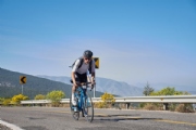 P3536654
