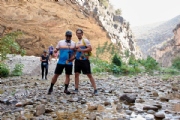 S3542195