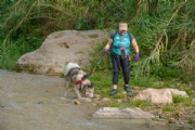 H3537066