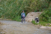 H3537684