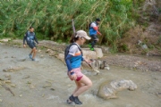 N3537582