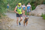 N3538115