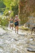 P3539147