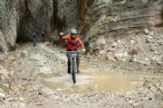D3550377