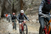 G3549619