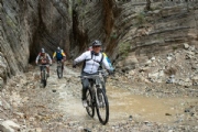 M3550174