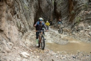 S3548829