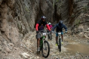 W3550598
