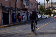 Y3556681