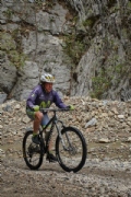 S3546082