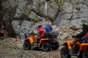 Y3547394