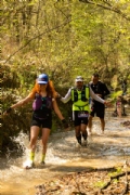O3554640