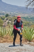 Y3560891