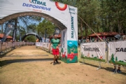 D3566433