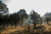 A3566670
