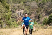 T3567916