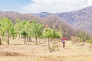 L3576840