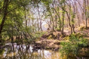 R3576509