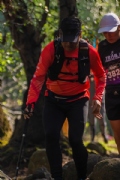 Y3576248