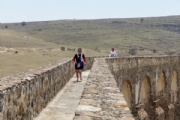 C3575738