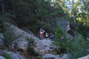 E3624726