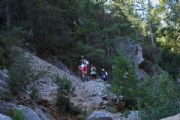 E3624741