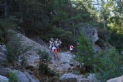 E3624754