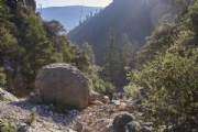 N3623795