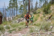 Q3601309