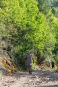 D3618717
