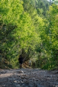 H3618962