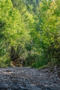 I3618523