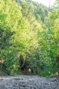 K3618149